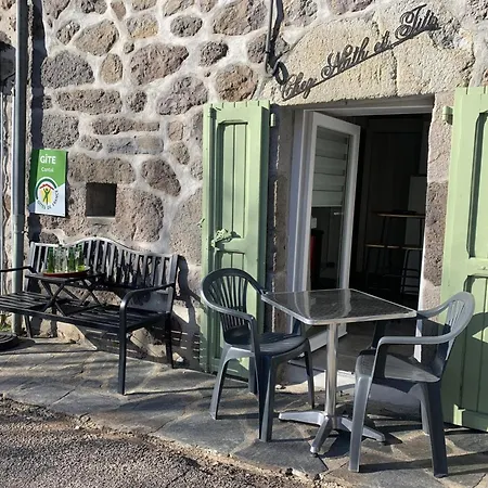 Maison De Caractere Au Puy Mary, Terrasse, Animaux Acceptes - Fr-1-742-621 Dom wakacyjny Le Falgoux